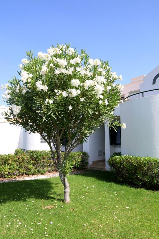 Cabana Da Ria Cabanas De Tavira Exterior photo